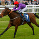 Illustration for article titled Of Course Theres A Racehorse Named Usain Colt
